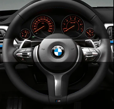 Enable Shift Paddles in your BMW F series. Coding
