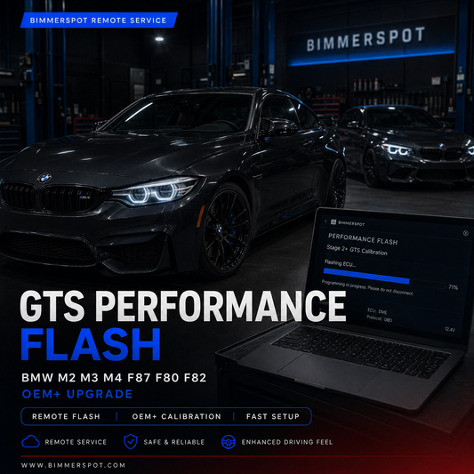 BMW GTS Performance Flash | M2 M3 M4 F87 F80 F82 OEM+ Remote Upgrade