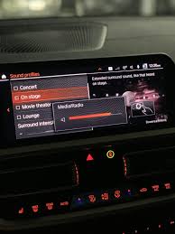 Professional BimmerSpot Remote Coding Service for BMW G-Series Vehicles