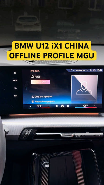 Permanent BMW MGU ID7 ID8 ID9 Offline Profile Creation | Remote Fix Service