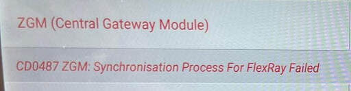 FlexRay Port Repair for BMW MINI Fix FEM / BDC Communication Errors